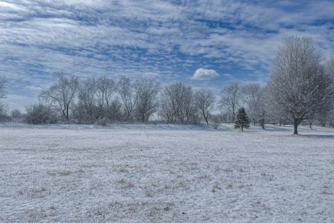 5205 Kaylins Way Ringwood IL 60072