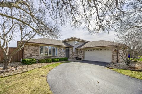 Photo of 14559 Mesquite Drive, Orland Park, IL 60467 (MLS # 12600487)