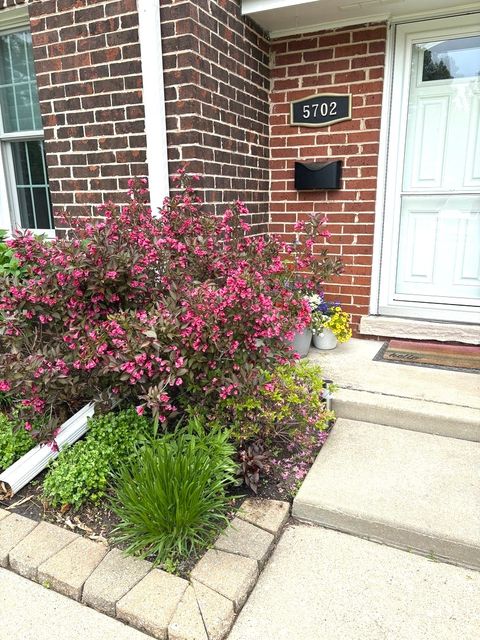 Tiny photo for 5702 S Park Avenue, Hinsdale, IL 60521 (MLS # 12129039)