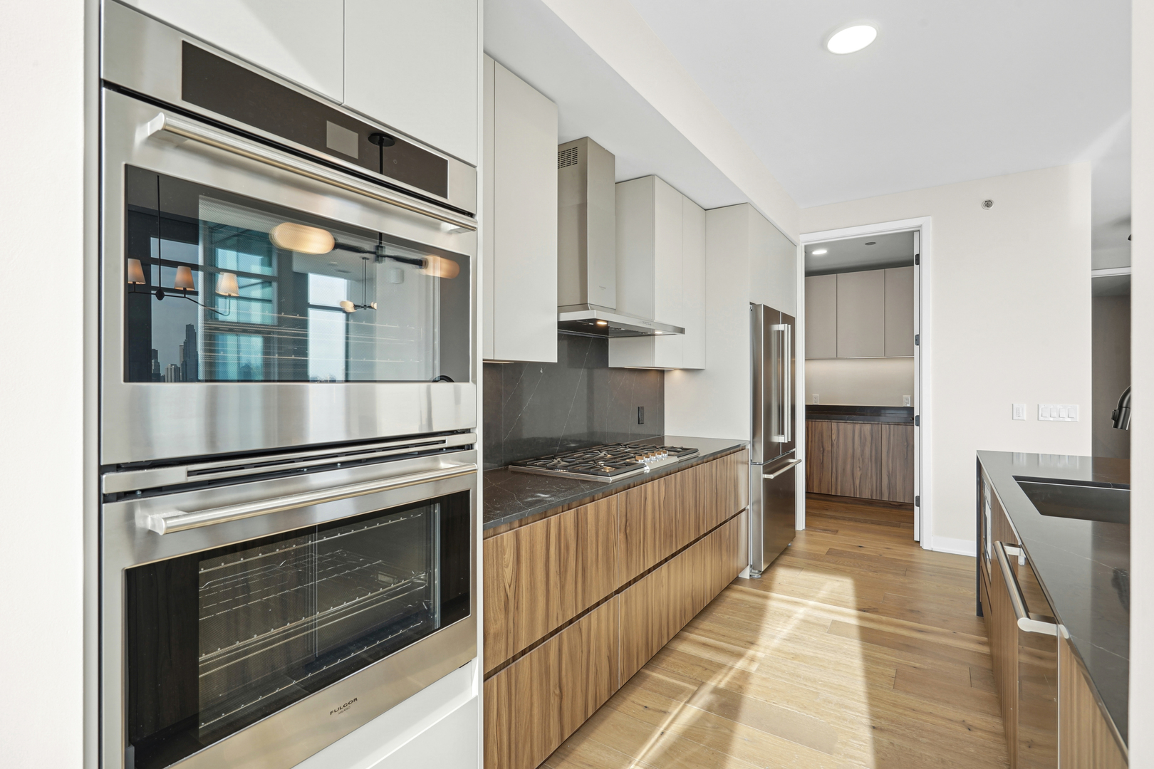 1114 W Carroll Avenue PH-3203