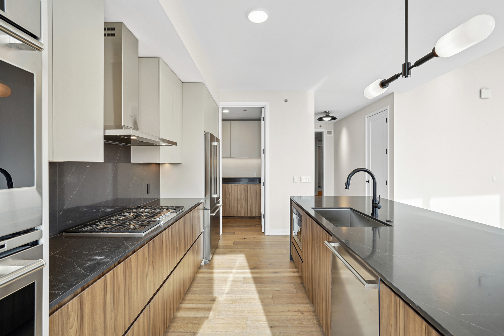 1114 W Carroll Avenue PH-3203