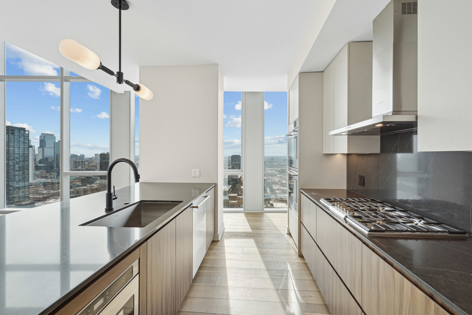 1114 W Carroll Avenue PH-3203