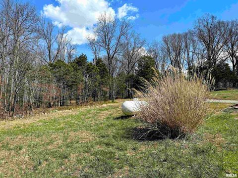 Tiny photo for 1925 MURPHY Road, Creal Springs, IL 62922 (MLS # EB459169)