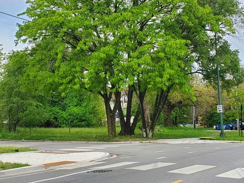 7100 S Princeton Avenue Chicago IL 60621