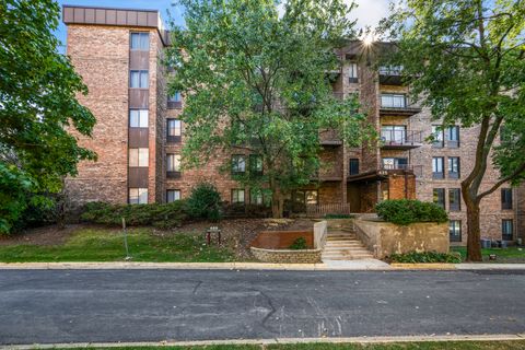 425 Walnut Creek Lane 1203 Lisle IL 60532