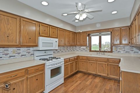 Tiny photo for 160 Marion Street, Manhattan, IL 60442 (MLS # 12618974)