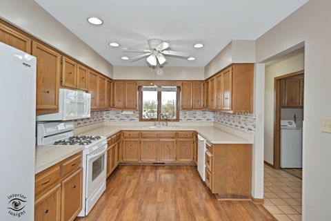 Tiny photo for 160 Marion Street, Manhattan, IL 60442 (MLS # 12618974)