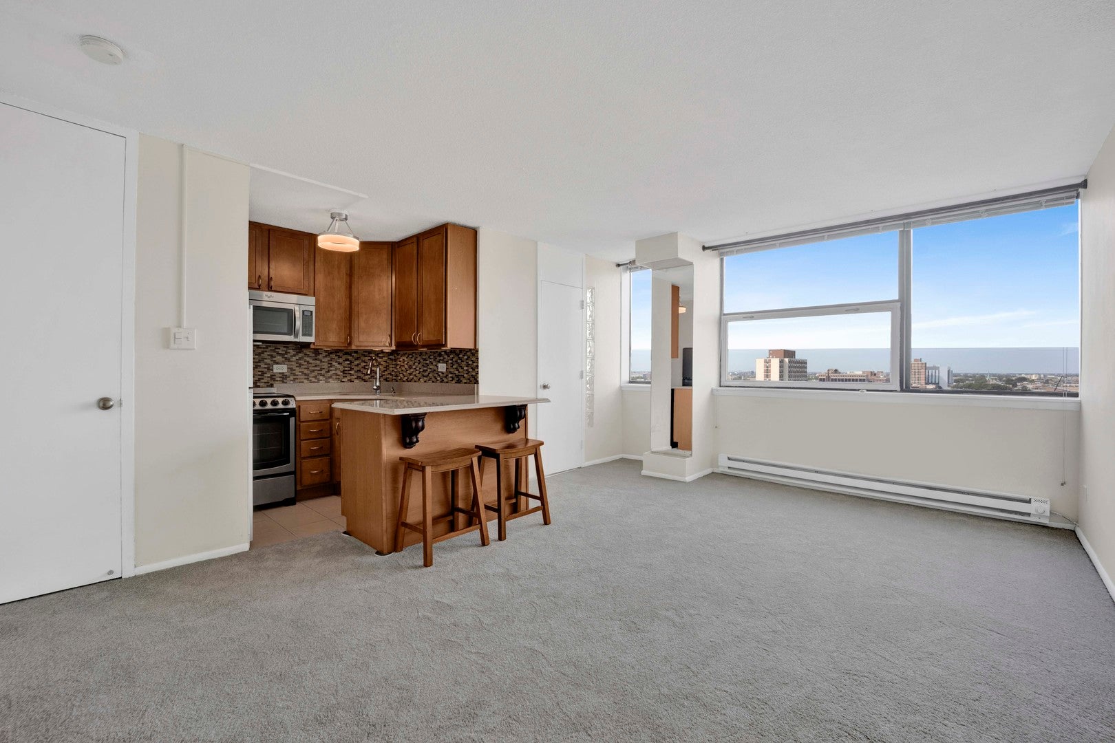 3110 N Sheridan Road 1607