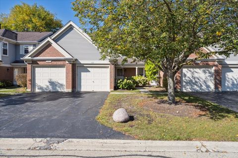 1157 Russellwood Court Buffalo Grove IL 60089