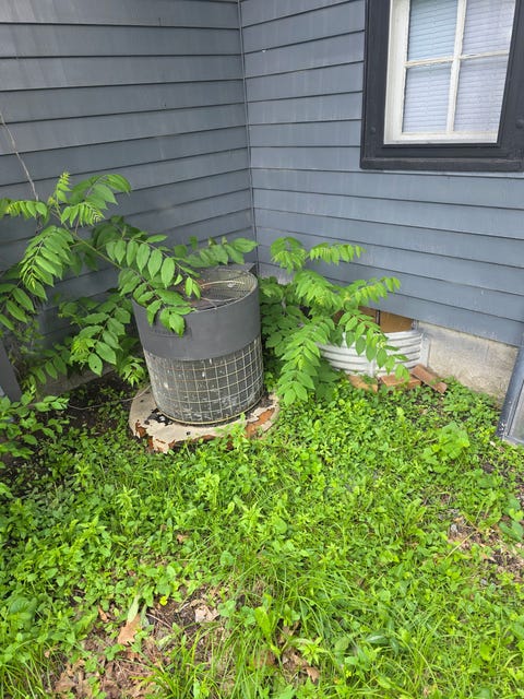 Tiny photo for 702 Locust Street, Carthage, IL 62321 (MLS # 12699827)