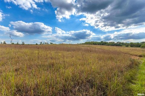 Tiny photo for 5122 230TH Street N, Port Byron, IL 61275 (MLS # QC4253555)