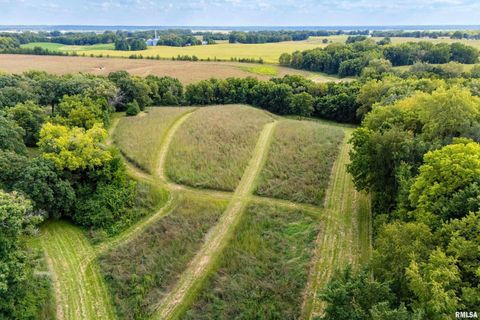 Tiny photo for 5122 230TH Street N, Port Byron, IL 61275 (MLS # QC4253555)