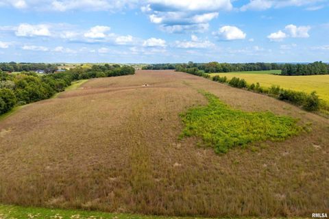 Tiny photo for 5122 230TH Street N, Port Byron, IL 61275 (MLS # QC4253555)