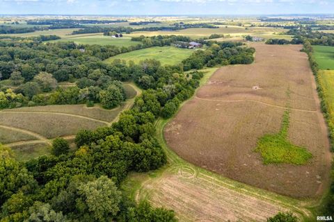 Tiny photo for 5122 230TH Street N, Port Byron, IL 61275 (MLS # QC4253555)