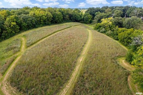 Tiny photo for 5122 230TH Street N, Port Byron, IL 61275 (MLS # QC4253555)