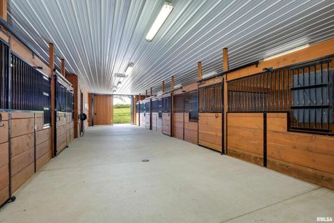 Tiny photo for 5122 230TH Street N, Port Byron, IL 61275 (MLS # QC4253555)