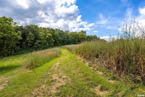 Tiny photo for 5122 230TH Street N, Port Byron, IL 61275 (MLS # QC4253555)