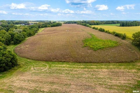 Tiny photo for 5122 230TH Street N, Port Byron, IL 61275 (MLS # QC4253555)