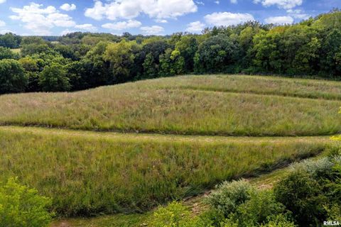 Tiny photo for 5122 230TH Street N, Port Byron, IL 61275 (MLS # QC4253555)