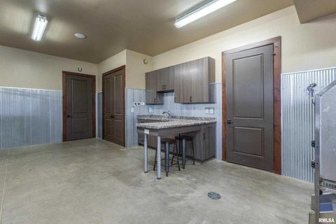 Tiny photo for 5122 230TH Street N, Port Byron, IL 61275 (MLS # QC4253555)