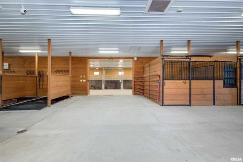 Tiny photo for 5122 230TH Street N, Port Byron, IL 61275 (MLS # QC4253555)