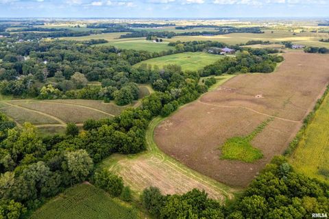 Tiny photo for 5122 230TH Street N, Port Byron, IL 61275 (MLS # QC4253555)