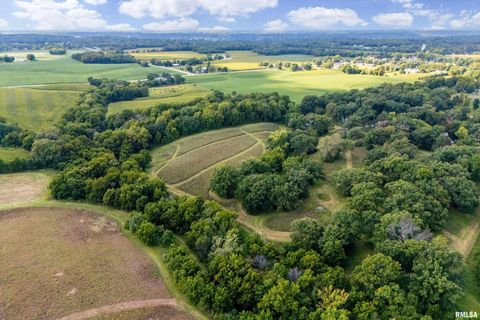 Tiny photo for 5122 230TH Street N, Port Byron, IL 61275 (MLS # QC4253555)