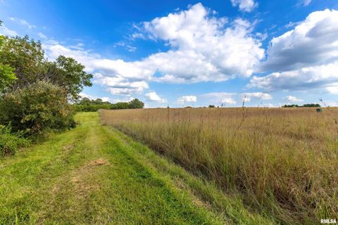 Tiny photo for 5122 230TH Street N, Port Byron, IL 61275 (MLS # QC4253555)