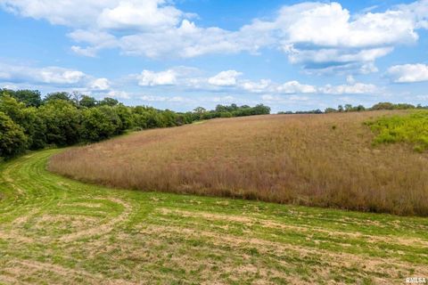 Tiny photo for 5122 230TH Street N, Port Byron, IL 61275 (MLS # QC4253555)