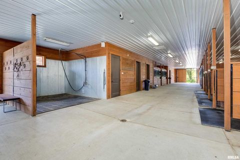 Tiny photo for 5122 230TH Street N, Port Byron, IL 61275 (MLS # QC4253555)