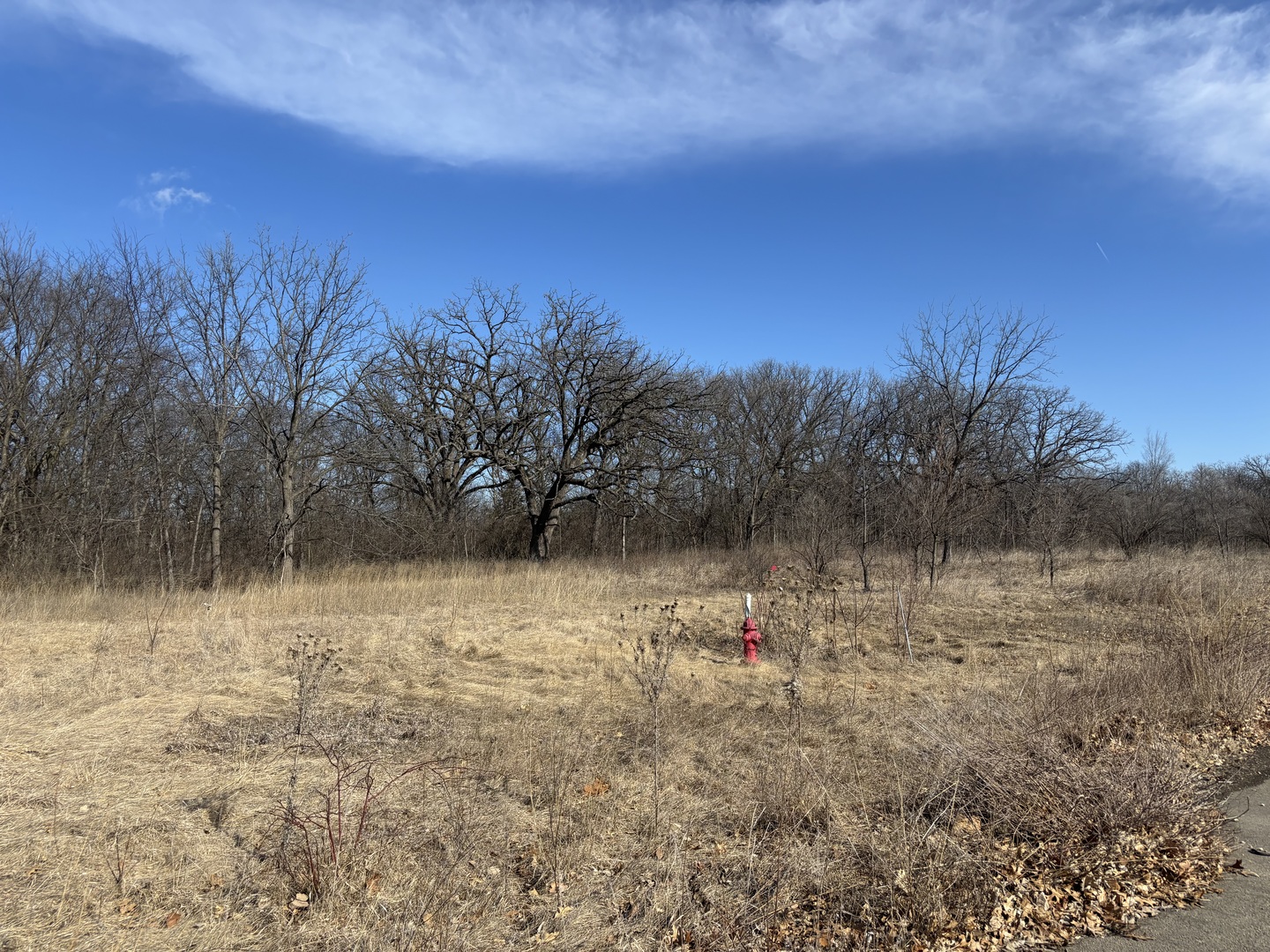 Lot 130 & Lot 131 Chippewa Trail