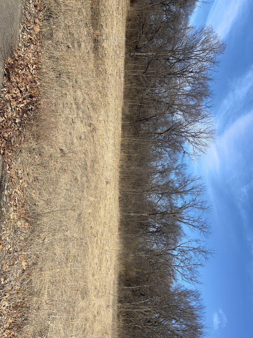 Lot 130 & Lot 131 Chippewa Trail