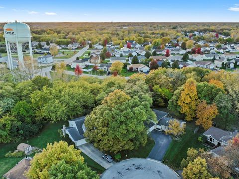 Tiny photo for 3604 Tee Court North Court, Crete, IL 60417 (MLS # 12504119)