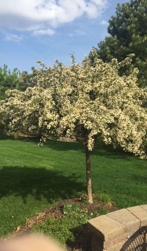 Tiny photo for 13454 Delaney Road, Huntley, IL 60142 (MLS # 12540900)