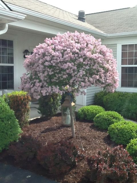 Tiny photo for 13454 Delaney Road, Huntley, IL 60142 (MLS # 12540900)