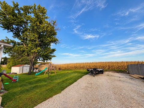 Tiny photo for 317 S Maple Street, Wyanet, IL 61379 (MLS # 12771067)