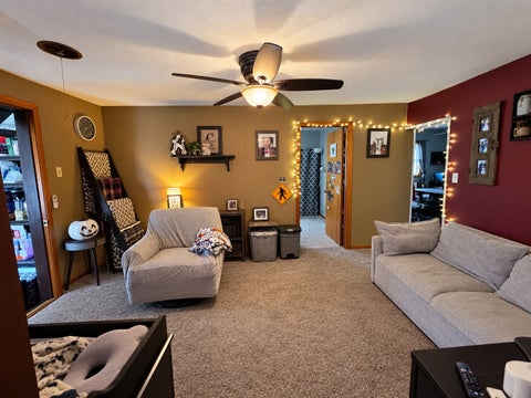 Tiny photo for 317 S Maple Street, Wyanet, IL 61379 (MLS # 12771067)