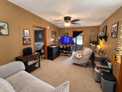 Tiny photo for 317 S Maple Street, Wyanet, IL 61379 (MLS # 12771067)