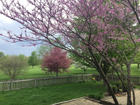 Tiny photo for 2918 Robeson Park Drive, Champaign, IL 61822 (MLS # 12730007)