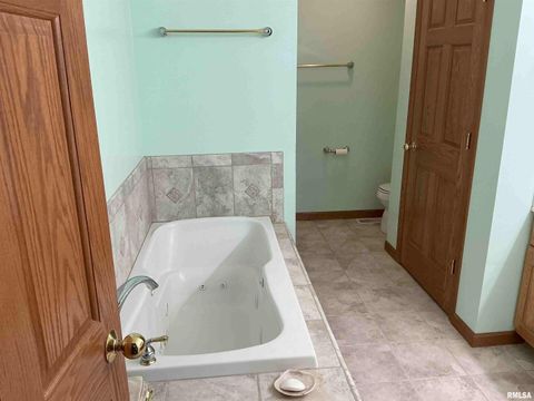 Tiny photo for 1808 106TH Avenue W, Milan, IL 61264 (MLS # QC4267405)