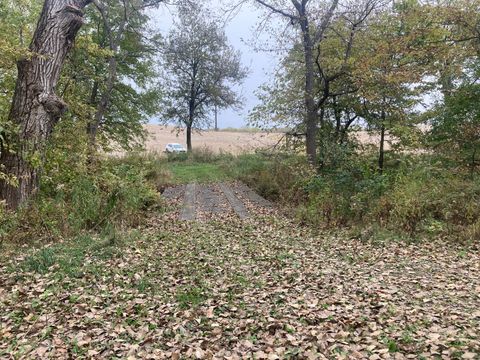 Tiny photo for 1808 106TH Avenue W, Milan, IL 61264 (MLS # QC4267405)