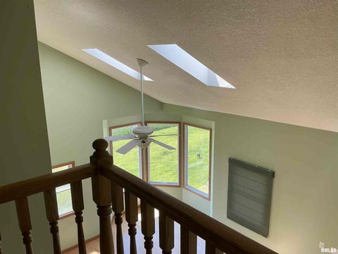 Tiny photo for 1808 106TH Avenue W, Milan, IL 61264 (MLS # QC4267405)