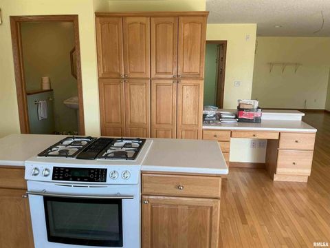 Tiny photo for 1808 106TH Avenue W, Milan, IL 61264 (MLS # QC4267405)