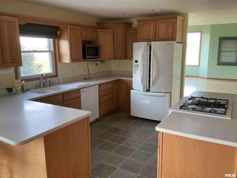 Tiny photo for 1808 106TH Avenue W, Milan, IL 61264 (MLS # QC4267405)