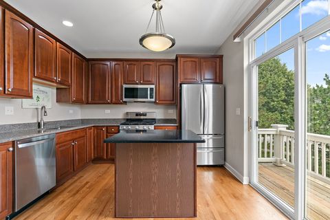 Tiny photo for 3050 Mosedale Street, Elgin, IL 60124 (MLS # 12680307)