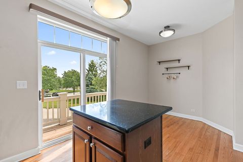 Tiny photo for 3050 Mosedale Street, Elgin, IL 60124 (MLS # 12680307)