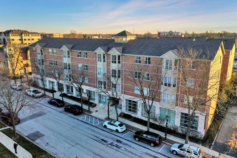 57 E Hattendorf Avenue 206 Roselle IL 60172