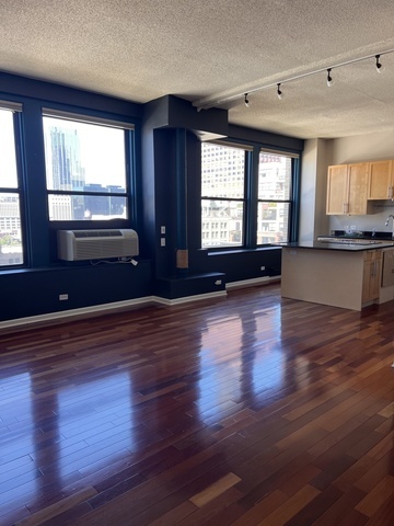 600 S Dearborn Street 1209