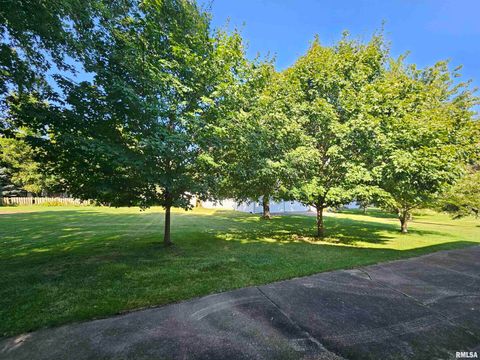 Tiny photo for 127 N VAIL Street, Geneseo, IL 61254 (MLS # QC4267067)