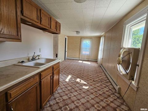 Tiny photo for 127 N VAIL Street, Geneseo, IL 61254 (MLS # QC4267067)